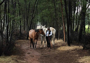 Freda Gocian & Natural Horsemanship