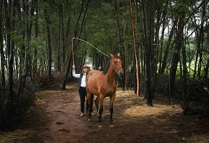 Freda Gocian & Natural Horsemanship