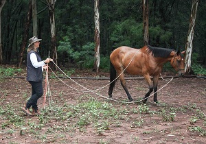 Freda Gocian & Natural Horsemanship