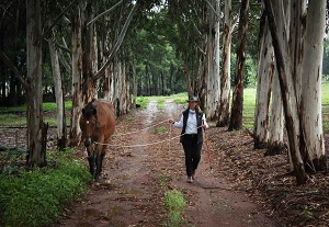 Freda Gocian & Natural Horsemanship