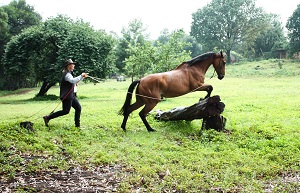 Freda Gocian & Natural Horsemanship