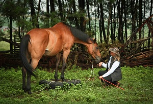 Freda Gocian & Natural Horsemanship