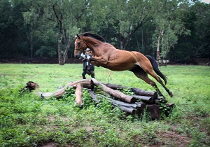 Freda Gocian & Natural Horsemanship