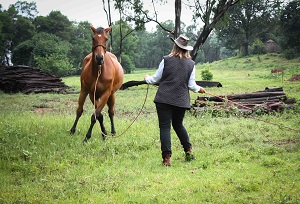 Freda Gocian & Natural Horsemanship