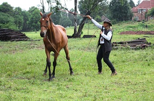 Freda Gocian & Natural Horsemanship