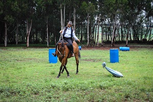 Freda Gocian & Natural Horsemanship