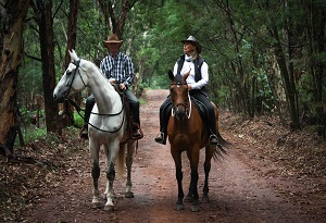 Freda Gocian & Natural Horsemanship