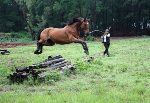 Freda Gocian & Natural Horsemanship